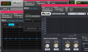 Noise reduction plugins in the Izotope RX range and Acon Digital's DeVerberate. Used in editing podcasts